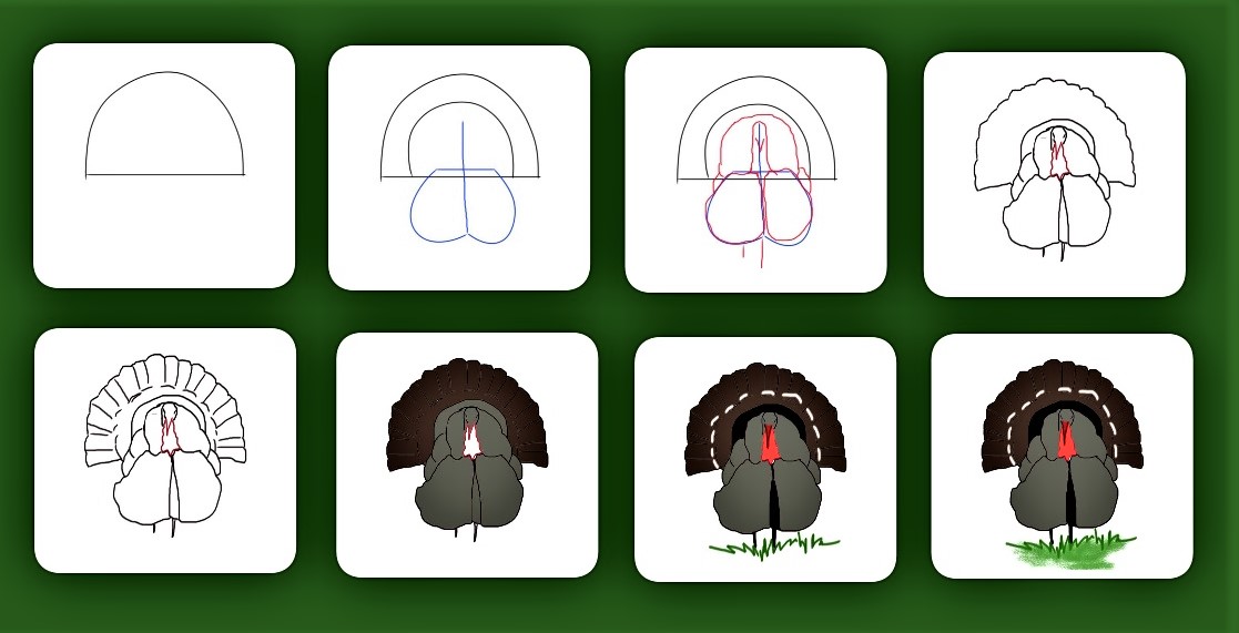 How to draw a turkey easy step by step turkey drawing with colour