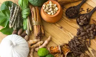 The Best Herbs To Balance Your Hormones