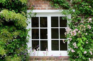 Beautiful white window with pale pink roses climbing in the brick wall