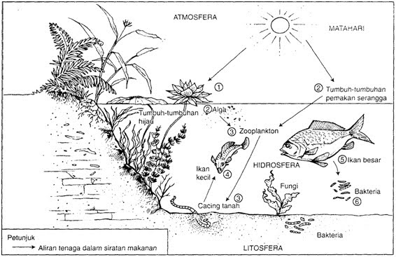 Nota Geografi STPM SMKRP: Ekosistem daratan dan lautan