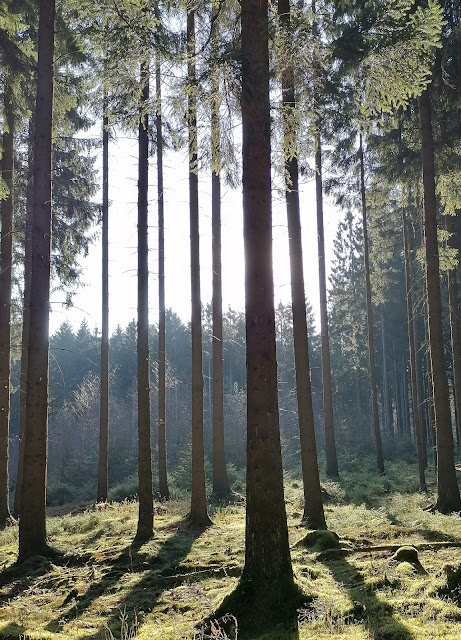 Sauerland wandern Wetter blog Warstein Arnsberger Wald X1 Plackweg