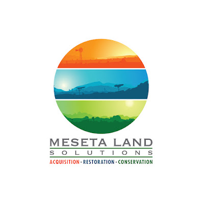 Logo Design Austin-Meseta Austin Logo