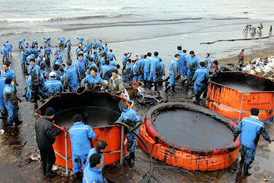 Oil Ship Accident, South Korea Effect on Birds 2008