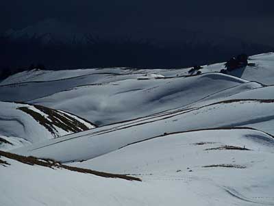 snow-farm.jpg