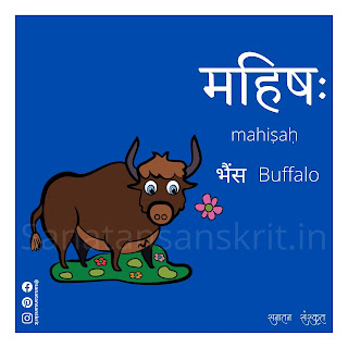 Buffalo (भैंस) in Sanskrit
