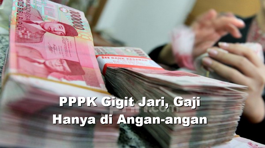 PPPK Gigit Jari, Gaji Hanya di Angan-angan, Banyak yang Belum Kantongi NIP dan SK