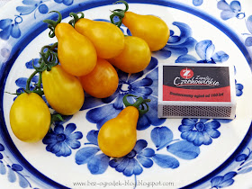 Yellow Pearshaped’ cherry tomatoes