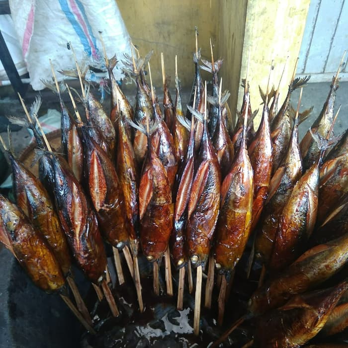 Kandungan Gizi Ikan Tongkol dan Beberapa Bentuk Olahannya - Biota Dunia