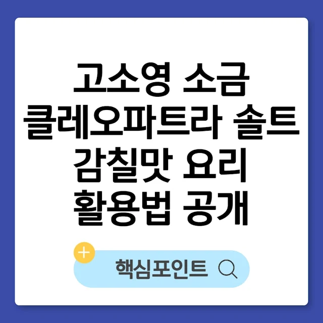고소영 소금 클레오파트라 솔트 감칠맛 요리 활용법 공개 썸네일