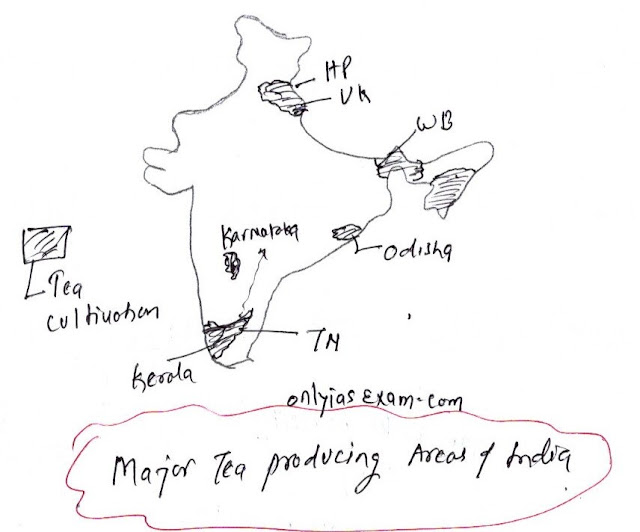 भारत में चाय की फसलों के भौगोलिक वितरण