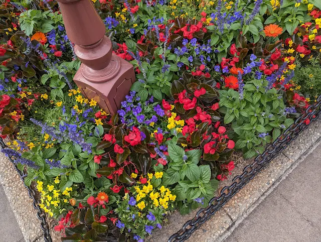 Annual Flowers at UK Pavilion at Disney's Epcot Flower and Garden Festival