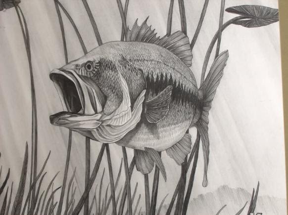 facts around us: Most Beautiful Black & White pencil drawings pictures