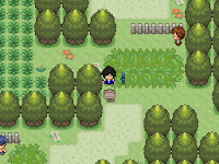 Pokemon Fates Screenshot 03