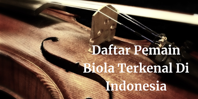 Daftar Pemain Biola Terkenal Di Indonesia