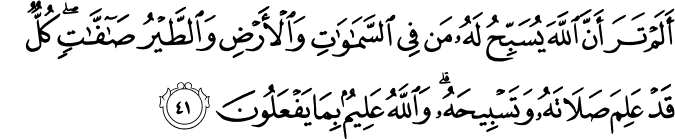 Surat An Nur ayat 41