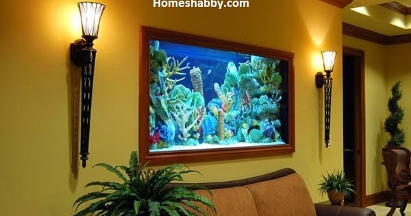 Tips dan Inspirasi Aquarium Dinding Minimalis  yang Unik 