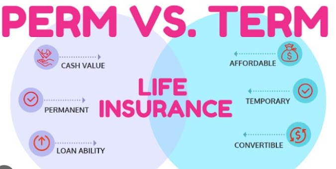 Term Vs Permanent Life Insurance - Weighing Your Options (5)