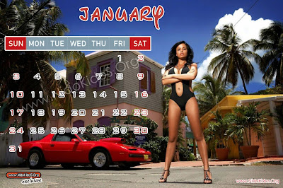 Hot Models with Calendar 2010 