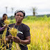 FarmCrowdy raises $1M round to bring Nigerian farmers online and to market