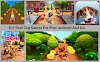 10+ Best Cute Dog Games For Free For Kids