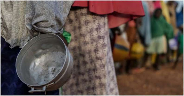 Millions of Kenyans face hunger as COVID-19 pandemic ravages - new report