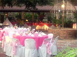 Wedding Reception Pink Costum Decorations Ideas