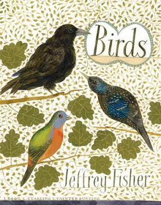 illustrations of birds. Bird illustrations