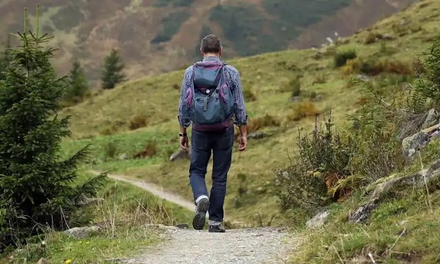 ¿Por qué los sonidos de la naturaleza benefician la salud?