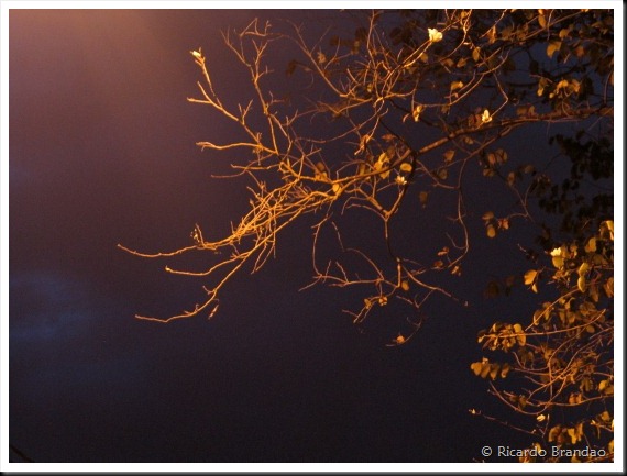 sky002