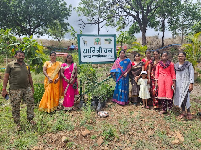 हनुमान नगर महिला बचत गट ग्रुप बारामती यांच्या वतीने पणदरे येथील सावित्रीबन येथे वृक्षारोपण व बीजारोपण 