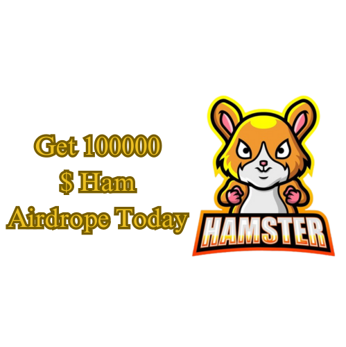Optimize Your Game Strategy  Hamster Kombat Daily Cipher - 3 July, 2024