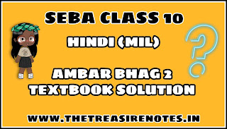 Ambar Bhag 2 Chapter-8 अफसर Question Answer'2023 | SEBA CLASS 10 | The Treasure Notes