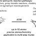 Prediction of High-Yielding Single-Step or Cascade Pericyclic
Reactions for the Synthesis of Complex Synthetic Targets