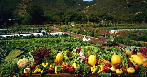 Raddoppiare la produzione mondiale di cibo tornando alla vita di campagna