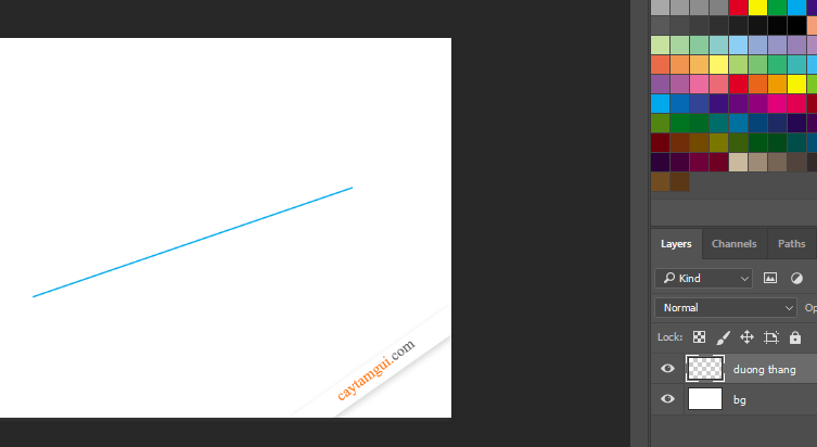 Hướng dẫn vẽ đường thẳng, đường cong trong Photoshop