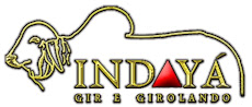 Gir Indayá