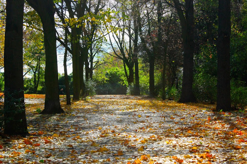 Viktoriapark Berlín otoño