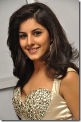 Isha Talwar at Gundejari Gallanthaindhe movie press meet