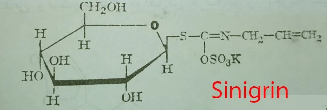 السينيغرينSinigrin