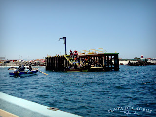 Punta de Choros