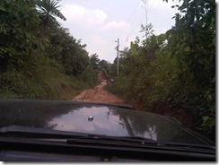 IMG00398-20110427-1447