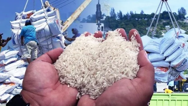 'Meredupnya Sinar Swasembada Beras Jokowi'
