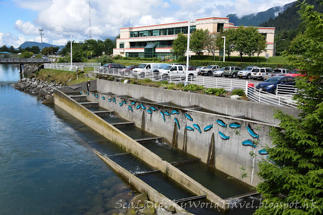 Juneau Macaulay Salmon Hatchery, 朱諾三文魚場