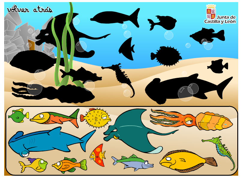 http://www.educa.jcyl.es/educacyl/cm/gallery/Recursos%20Infinity/juegos_jcyl/pasatiempos_pri/juegosverano/sombras/sombras_peces.html