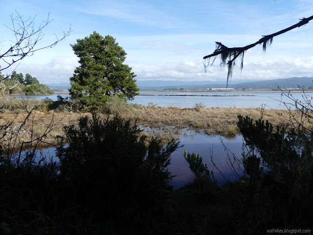 Mad River Slough flooding all over again