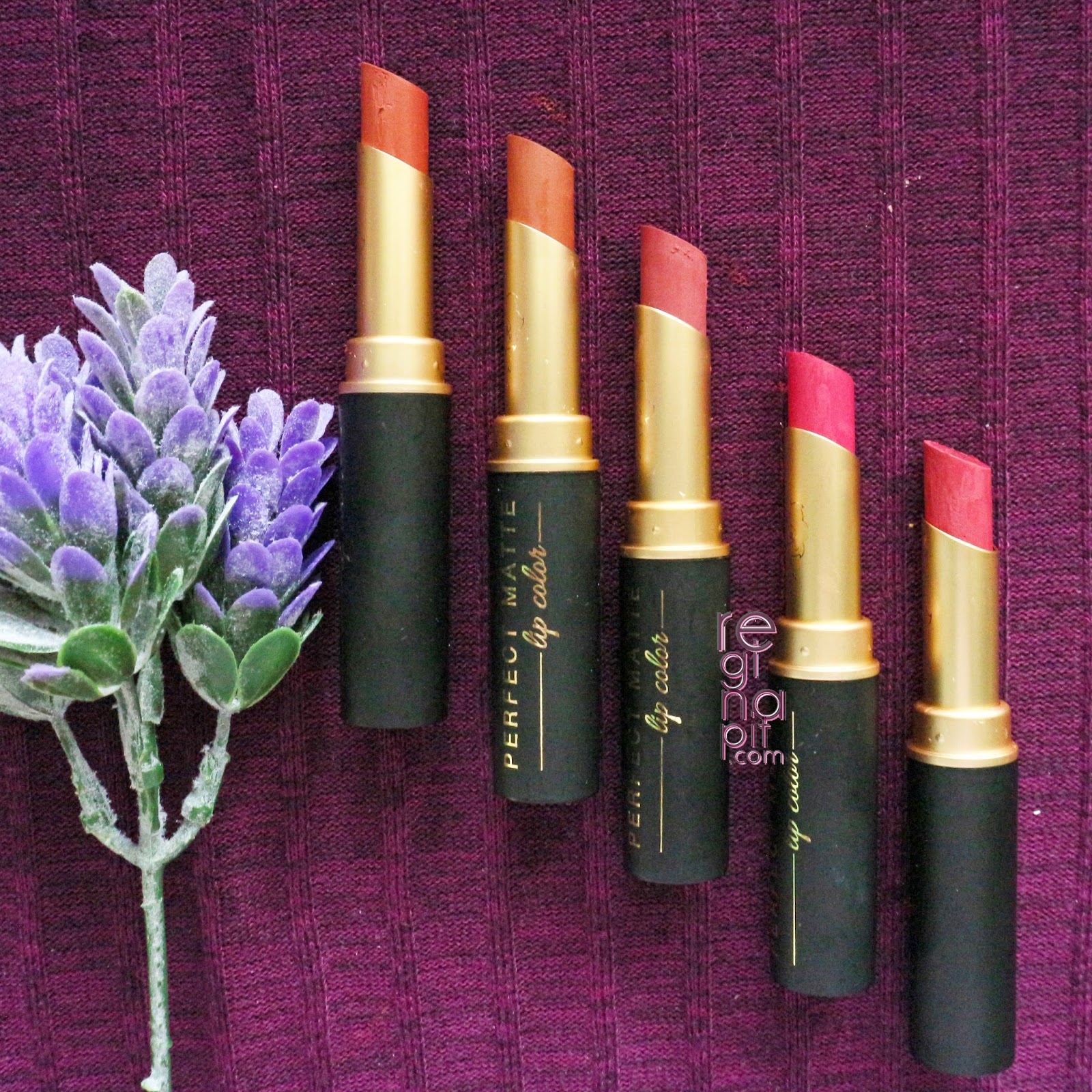  Warna  Lipstik  Viva Untuk Bibir Hitam Ide Perpaduan  Warna 