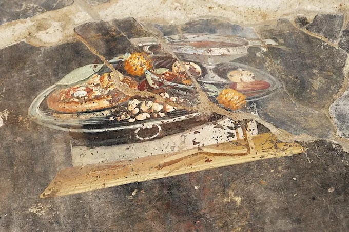  Novos achados no Parque Arqueológico de Pompeia:serpentes, uma padaria, esqueletos humanos