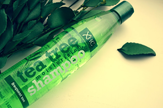 XHC Tea Tree Shampoo