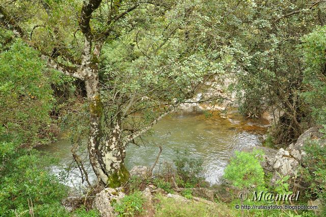 Circular Ojo del Moro - Pajaruco - Fuentes del Hondón - Salto del Cabrero