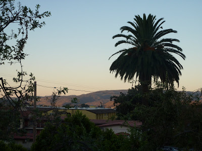  Luis Obispo Wedding Locations on From My Hotel Window In San Luis Obispo